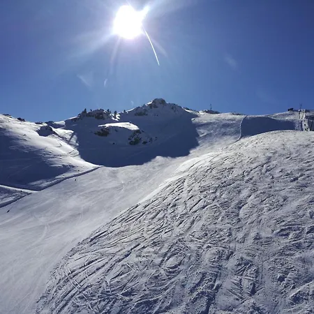 Auer Wilder Kaiser&kitzbüheler Alpen Nähe Ellmau Itd099