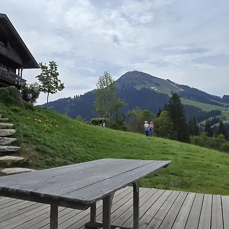Ferienwohnung Wilder Kaiser & Kitzbueheler Alpen Garten & Terrasse Skiwelt & Hohe Salve Itd099 By Fewo-Plan Itter