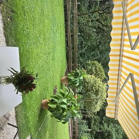 Auer Kitzbueheler Alpen Itd099 شقة