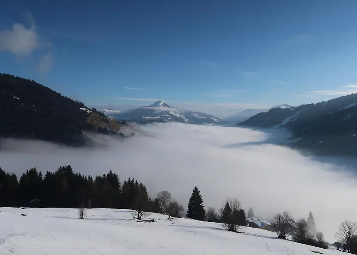 Lejlighed Auer Kitzbueheler Alpen Itd099