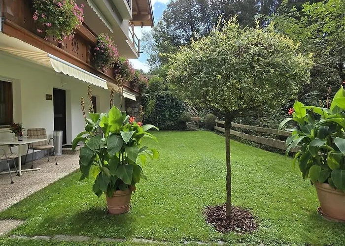 Auer Kitzbueheler Alpen Itd099