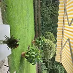 Auer Kitzbueheler Alpen Itd099 Апартаменты