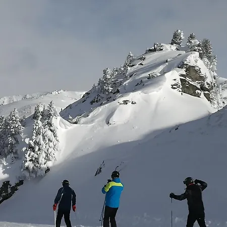 Ferienwohnung Wilder Kaiser & Kitzbueheler Alpen Garten & Terrasse Skiwelt & Hohe Salve Itd099 By Fewo-Plan Apartmán